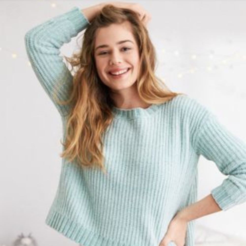 Aerie campfire chenille sweater
